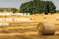 【每天早睡1小时身体发生的变化】早睡1小时抑郁风险显著降低