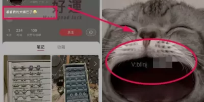 小红书引流招式大全|附详细案例 小红书引流招式大全|附详细案例