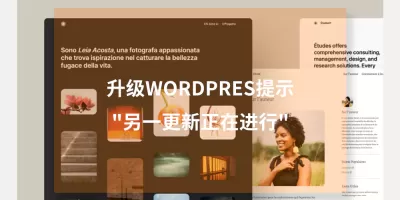 WordPress网站维护教程:升级WordPress失败,重试提示“另一更新正在进行” WordPress网站维护教程:升级WordPress失败,重试提示“另一更新正在进行”