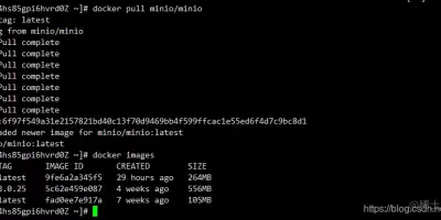全网最细Docker安装Minio,填满最新版大坑(强烈推荐收藏) 全网最细Docker安装Minio,填满最新版大坑(强烈推荐收藏)