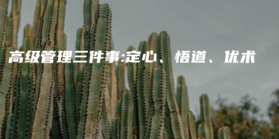 高级管理三件事:定心、悟道、优术 高级管理三件事:定心、悟道、优术