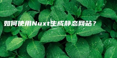 如何使用Nuxt生成静态网站? 如何使用Nuxt生成静态网站?