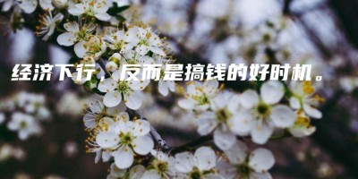 经济下行,反而是搞钱的好时机。 经济下行,反而是搞钱的好时机。