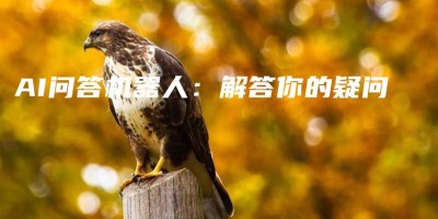AI问答机器人:解答你的疑问 AI问答机器人:解答你的疑问