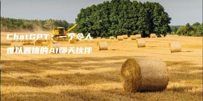ChatGPT:一个令人难以置信的AI聊天伙伴 ChatGPT:一个令人难以置信的AI聊天伙伴