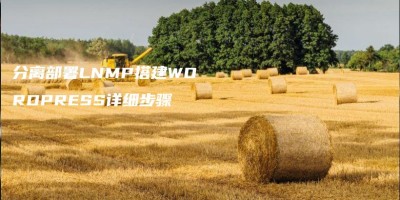 分离部署LNMP搭建WORDPRESS详细步骤 分离部署LNMP搭建WORDPRESS详细步骤