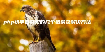 php初学者常见的几个错误及解决方法 php初学者常见的几个错误及解决方法