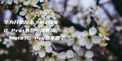 华为开始反击,Mate60 Pro+售价一降再降,Mate70 Pro都不香了 华为开始反击,Mate60 Pro+售价一降再降,Mate70 Pro都不香了