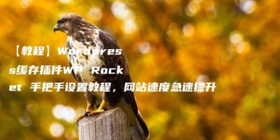 【教程】WordPress缓存插件WP Rocket 手把手设置教程,网站速度急速提升 【教程】WordPress缓存插件WP Rocket 手把手设置教程,网站速度急速提升