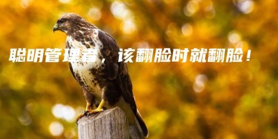 聪明管理者,该翻脸时就翻脸! 聪明管理者,该翻脸时就翻脸!