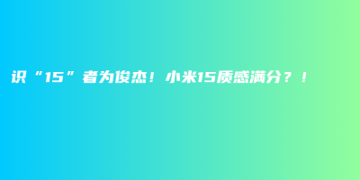 识“15”者为俊杰!小米15质感满分?! 识“15”者为俊杰!小米15质感满分?!
