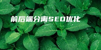 前后端分离SEO优化 前后端分离SEO优化