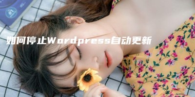 如何停止WordPress自动更新 如何停止WordPress自动更新