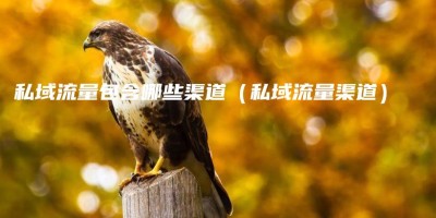 私域流量包含哪些渠道(私域流量渠道) 私域流量包含哪些渠道(私域流量渠道)