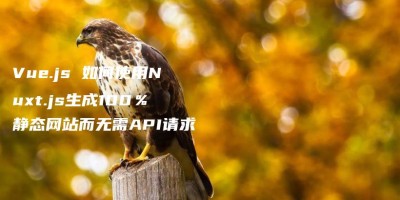 Vue.js 如何使用Nuxt.js生成100%静态网站而无需API请求 Vue.js 如何使用Nuxt.js生成100%静态网站而无需API请求