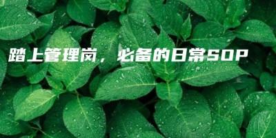 踏上管理岗,必备的日常SOP 踏上管理岗,必备的日常SOP
