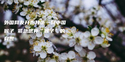 外国网友开始打听一只中国猴子 紧急恶补“猴子”的身世 外国网友开始打听一只中国猴子 紧急恶补“猴子”的身世