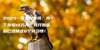 2025一定要多存钱:为了存够10万元,我开始逼自己改掉这6个穷习惯! 2025一定要多存钱:为了存够10万元,我开始逼自己改掉这6个穷习惯!