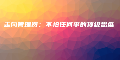 走向管理岗:不怕任何事的顶级思维 走向管理岗:不怕任何事的顶级思维