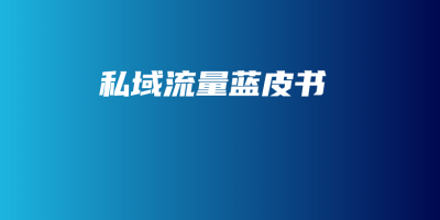 私域流量蓝皮书 私域流量蓝皮书