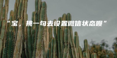 “宝,挑一句去设置微信状态呗” “宝,挑一句去设置微信状态呗”