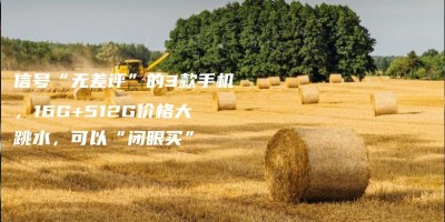 信号“无差评”的3款手机,16G+512G价格大跳水,可以“闭眼买” 信号“无差评”的3款手机,16G+512G价格大跳水,可以“闭眼买”