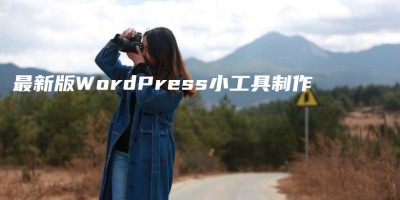 最新版WordPress小工具制作 最新版WordPress小工具制作