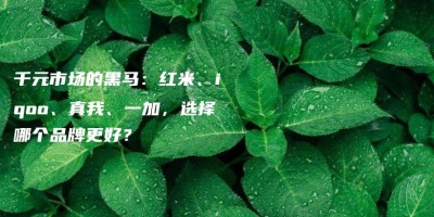 千元市场的黑马:红米、iqoo、真我、一加,选择哪个品牌更好? 千元市场的黑马:红米、iqoo、真我、一加,选择哪个品牌更好?