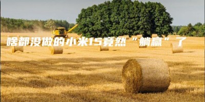 啥都没做的小米15竟然“躺赢”了 啥都没做的小米15竟然“躺赢”了