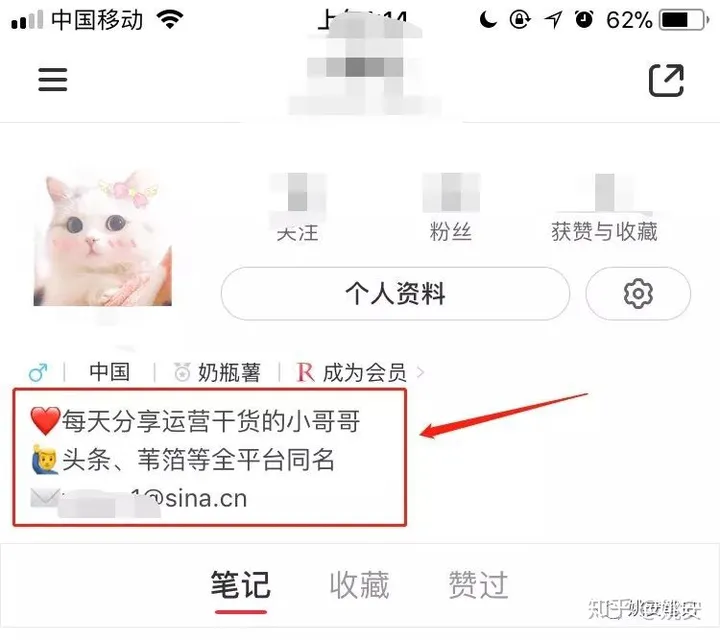 小红书如何引流100万粉丝，一套公司化批量布局小红书引流SOP插图12