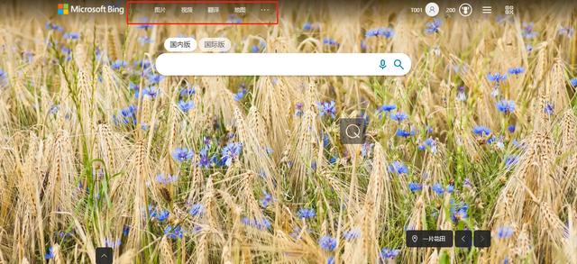 如何使用微软新必应BingChat?插图1