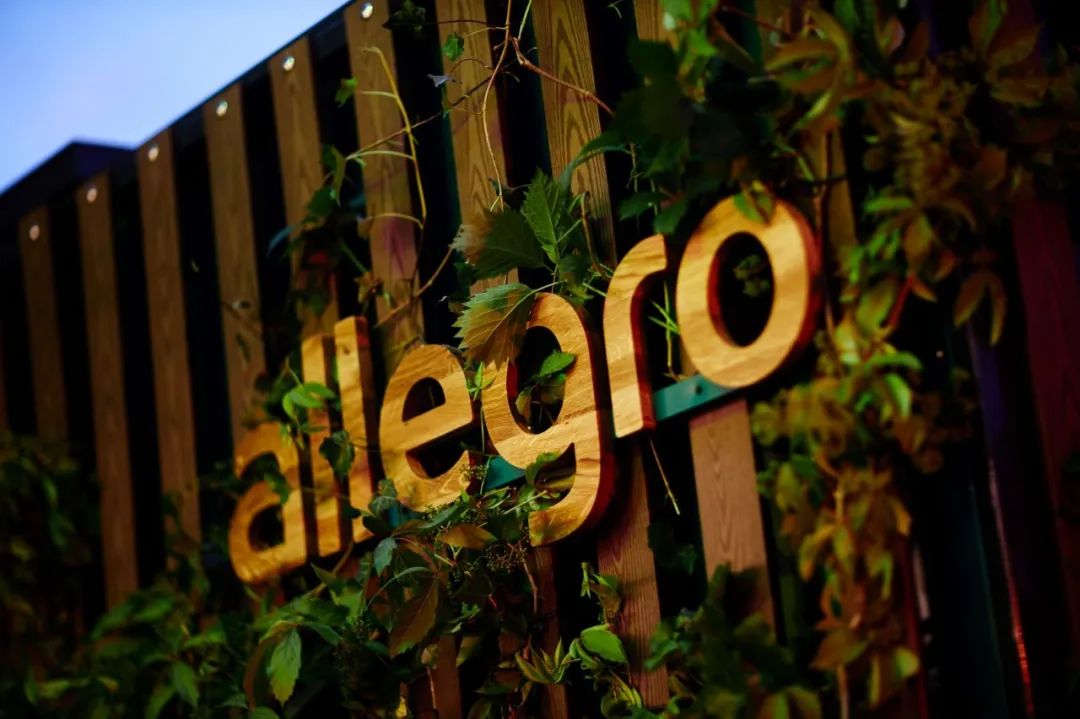 月访问量破2亿，大批卖家涌入Allegro这一平台！插图1