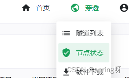手把手教你使用SakuraFrp进行内网穿透教程插图2 手把手教你使用SakuraFrp进行内网穿透教程插图2