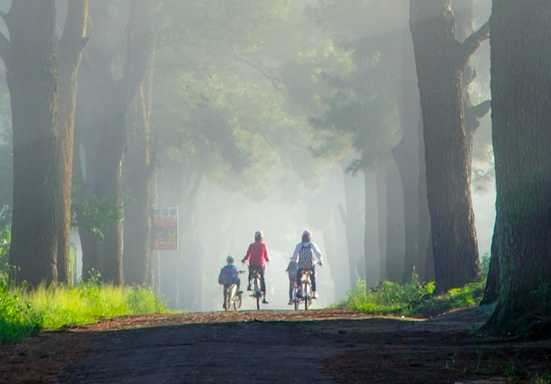 哈佛经济学家揭露“教育真相”:父母离婚、打小孩,其实都不影响学习成绩…插图10 哈佛经济学家揭露“教育真相”:父母离婚、打小孩,其实都不影响学习成绩…插图10