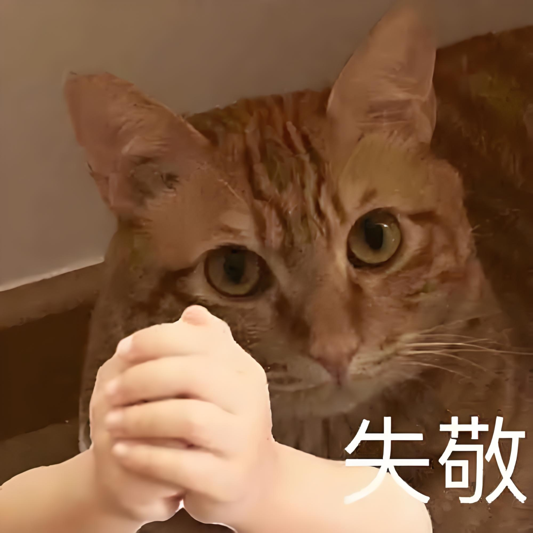 双十一不能错过的5款手机,都是“高配低价”!插图2 双十一不能错过的5款手机,都是“高配低价”!插图2