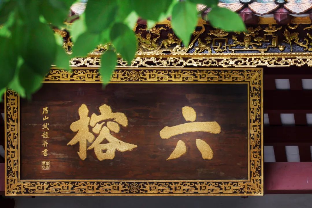 广州人嘴真严，这么“传奇”的散步路线都不说！插图56