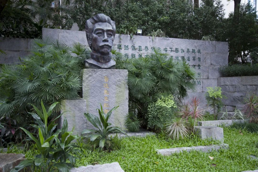 广州人嘴真严，这么“传奇”的散步路线都不说！插图26