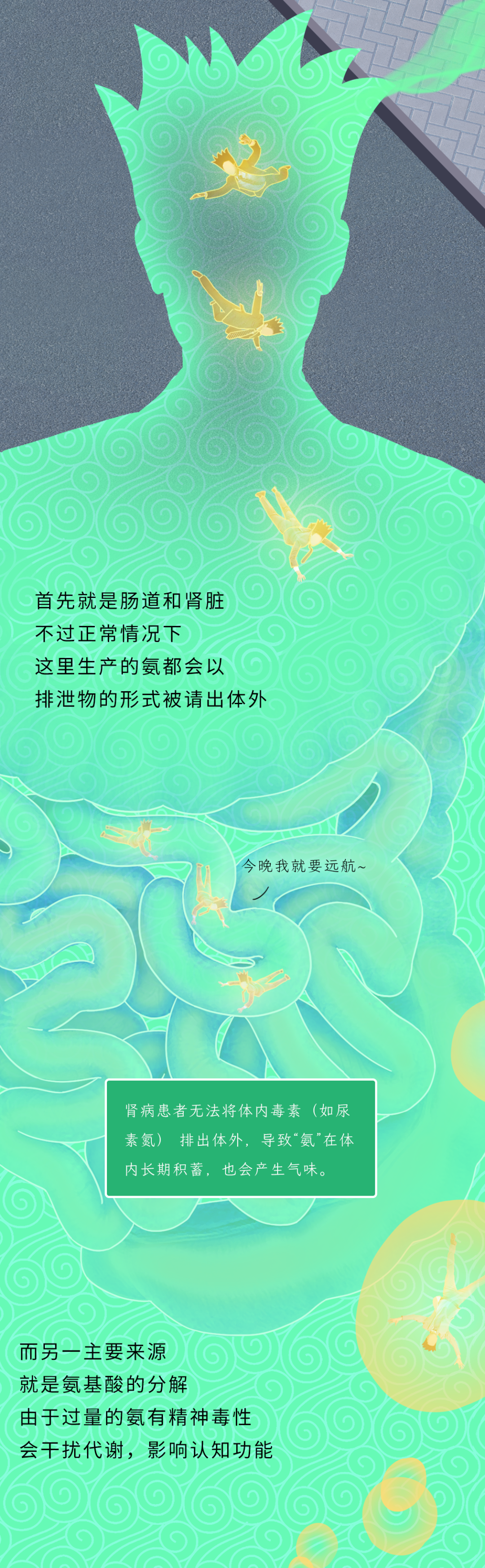 为什么熬夜之后，身体这些部位会变得巨臭？插图5