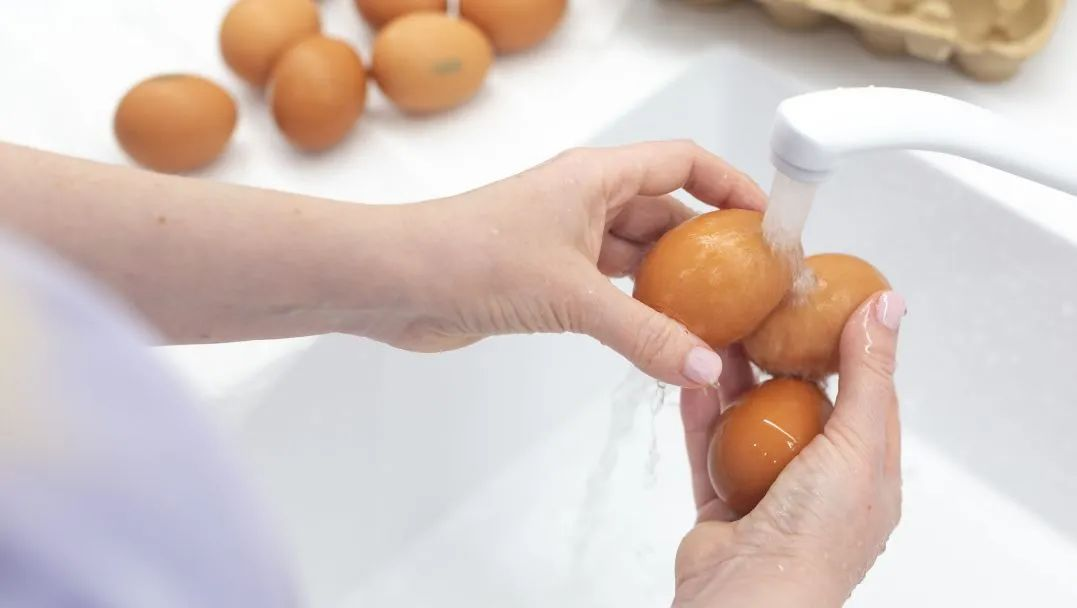 鸡蛋有污渍,洗还是不洗? 贮存的正确“姿势”来了!插图2 鸡蛋有污渍,洗还是不洗? 贮存的正确“姿势”来了!插图2
