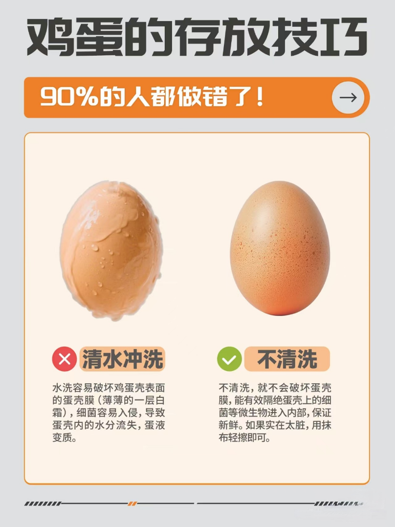 鸡蛋有污渍,洗还是不洗? 贮存的正确“姿势”来了!插图3 鸡蛋有污渍,洗还是不洗? 贮存的正确“姿势”来了!插图3