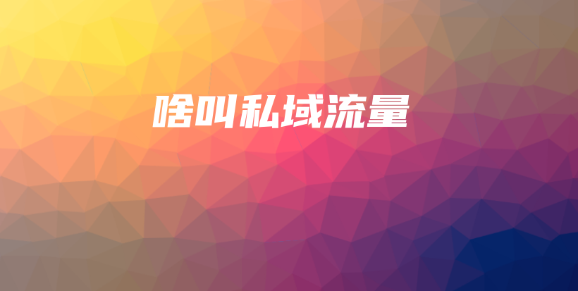 啥叫私域流量插图