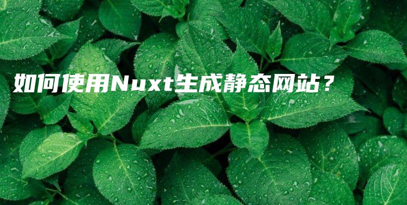 如何使用Nuxt生成静态网站？插图
