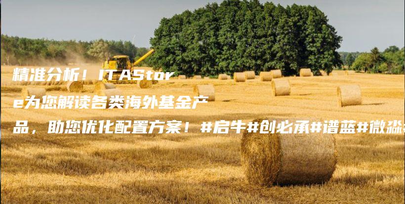 精准分析！ITAStore为您解读各类海外基金产品，助您优化配置方案！#启牛#创必承#谱蓝#微淼#长投插图
