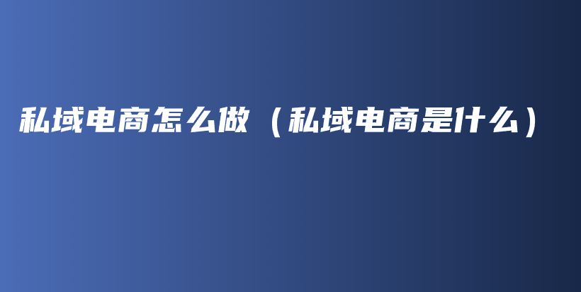 私域电商怎么做（私域电商是什么）插图