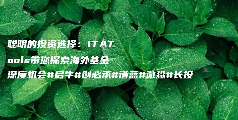 聪明的投资选择：ITATools带您探索海外基金深度机会#启牛#创必承#谱蓝#微淼#长投插图