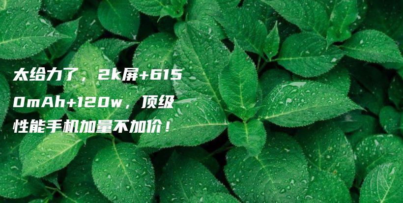 太给力了，2k屏+6150mAh+120w，顶级性能手机加量不加价！插图