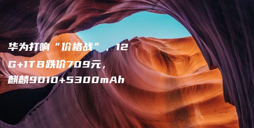 华为打响“价格战”，12G+1TB跌价709元，麒麟9010+5300mAh插图