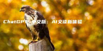 ChatGPT 中文版：AI交谈新体验