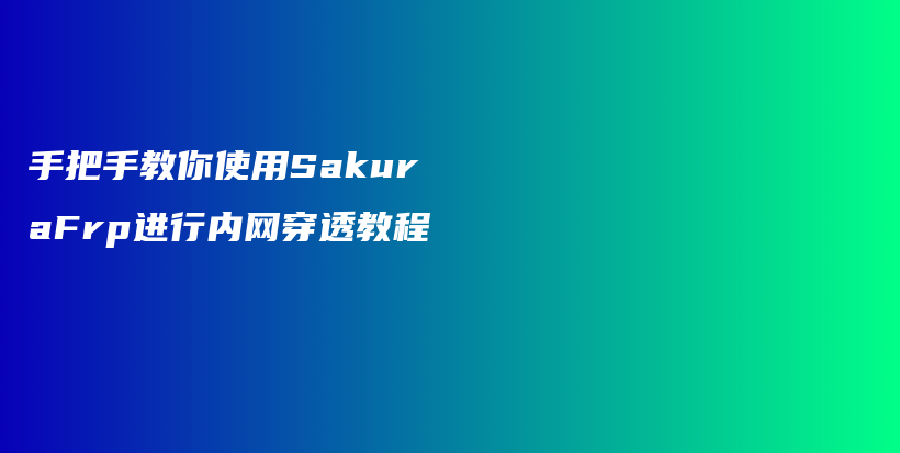 手把手教你使用SakuraFrp进行内网穿透教程插图