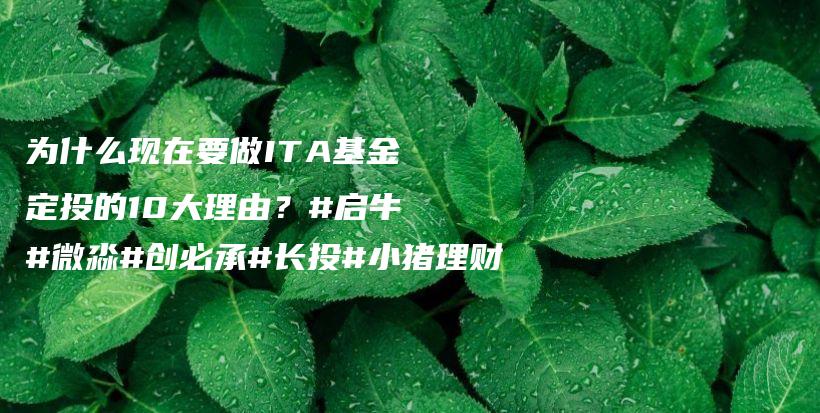 为什么现在要做ITA基金定投的10大理由？#启牛#微淼#创必承#长投#小猪理财插图